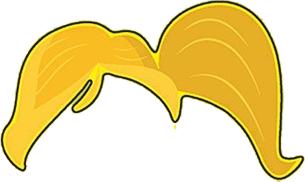 potato head ponytail